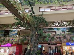 -呀诺达热带雨林