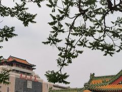 -莲花池公园