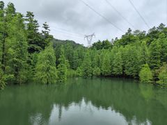-广州市帽峰山景区