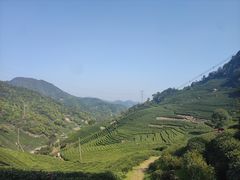 -午潮山国家森林公园