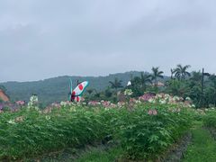 -清远熹乐谷温泉度假酒店