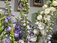 -佬钱湾仔(衣裳街店)