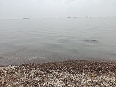 -巢湖姥山岛