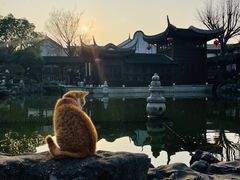 -檀园
