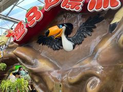 -南宫五洲植物乐园