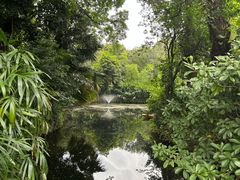 -广州兰圃
