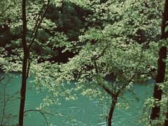 -青龙山国家森林公园