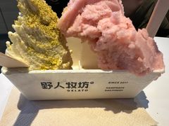 -野人牧坊Gelato(天津南开大悦城店)