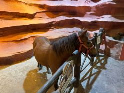 -酷嗒动物文化乐园(cutezoo西溪乐天城店)