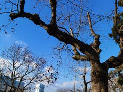 -青岛海滨风景区