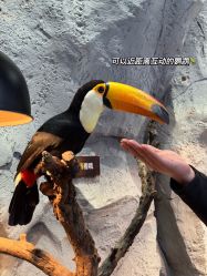 -Zoolung Zoolung动物主题公园(海信广场店)