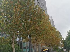 -陆家嘴世纪金融广场