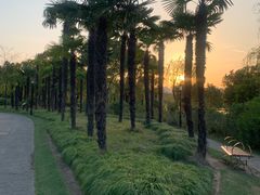 -黄兴公园