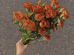 -杭州城北体育公园