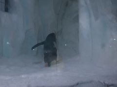 -南昌海洋公园