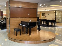 -知音艺术教育培训·钢琴培训·音乐培训(河西金鹰世界校区)