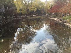 -鲁迅公园