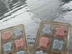 -野荸荠