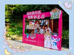 -常德桃花源景区