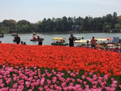 -上海鲜花港