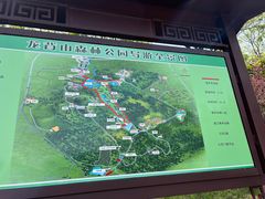 -宜兴龙背山森林公园