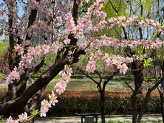 -木塔寺遗址生态公园