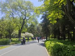 -万泉公园