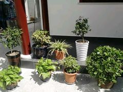 -小陆莲花蟹园农家乐(莲花岛店)