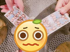 -PAWTOY爪e玩偶店(天兴罗斯福店)