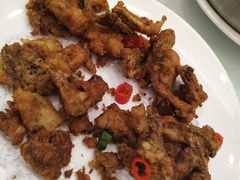 -沪碟·精菜坊(闵行店)