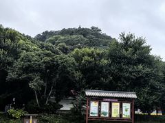 -焦山风景区