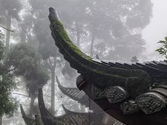 -青城山