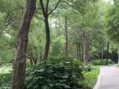 -美兰湖景区
