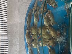 -蓝珊甄选海鲜自助·火锅大排档(近阿那亚店)