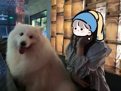 -境·Bar·日咖夜酒