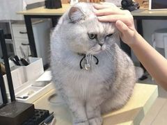 -Oasis绿洲银饰珍珠手作diy(壹方城店)
