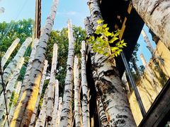 -Metal hands·铁手咖啡