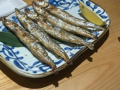 -吉川居酒屋(建国北路店)