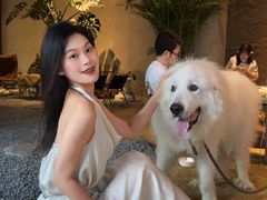 -J Create城市露营咖啡·简餐·宠物(上海动物园店)