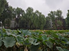 -四川大学(望江校区)