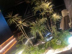 -华夏良子·足道SPA艾灸(金皇大厦店)