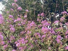 -荣祥广场