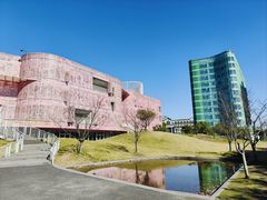 -杭州观成实验学校