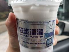 -TD66高山铁皮石斛养生茶饮