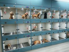 -萌宠之家·腊肠犬·马尔泰·小体犬舍