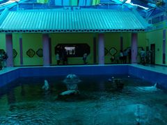 -北戴河圣蓝海洋公园