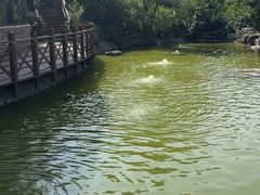 -观澜小洱海