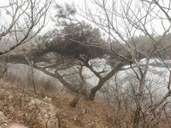-孤山岛