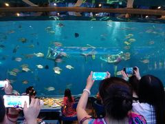 -瑞德姆美人鱼海底演艺主题餐厅(亚龙湾店)