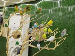 -荆州中山公园动物园